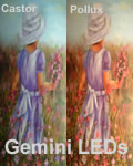 GeminiLEDs